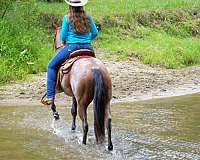 ranch-versatility-quarter-horse
