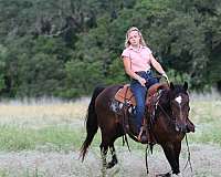 athletic-quarter-horse