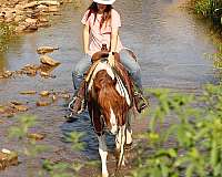 flax-mane-tail-horse