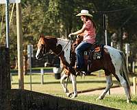 sorrel-flax-mane-tail-horse