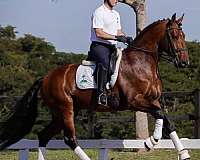 apsl-fei-colt