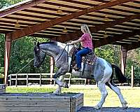 gentle-draft-horse