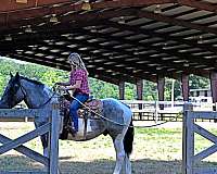 bombproof-draft-horse