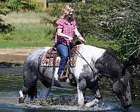 family-draft-horse