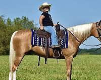 gun-safe-horse-tennessee-walking