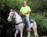 husband-hore-mare
