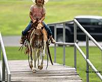 athletic-pony