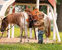 beginner-pony