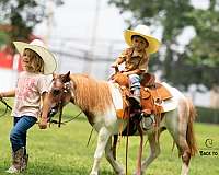 kid-safe-pony