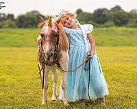 pinto-pony-mare