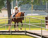 kid-safe-quarter-pony