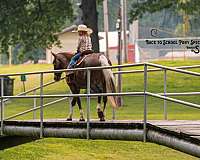 lesson-quarter-pony