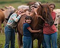 ridden-western-quarter-pony