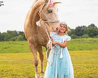 kid-safe-paint-horse