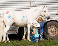 jumping-welsh-pony