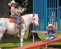parade-welsh-pony