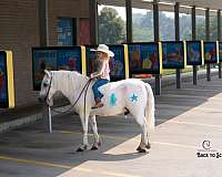 trail-riding-welsh-pony