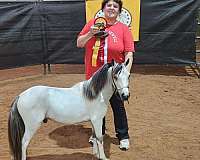buckskin-both-front-stockings-horse