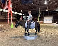 kid-safe-miniature-pony