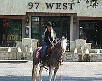 athletic-quarter-horse
