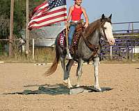 backs-up-quarter-horse