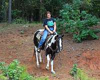 athletic-quarter-horse