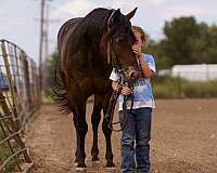 athletic-poa-pony