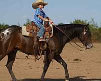 kid-safe-poa-pony