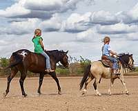 playday-poa-pony
