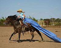 ranch-poa-pony