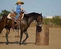 ranch-work-poa-pony