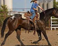 roping-poa-pony