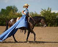 show-poa-pony