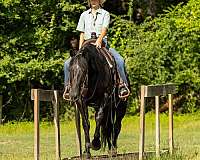 athletic-paint-horse