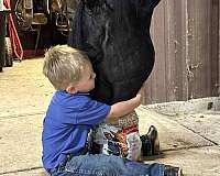 kid-safe-paint-horse