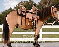 athletic-pony