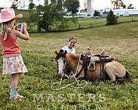kid-safe-pony