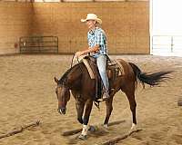 performance-quarter-horse