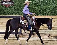 athletic-paint-horse