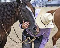 performance-paint-horse