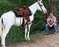 kid-safe-mule