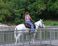 ranch-mule