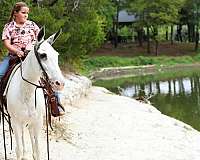 roping-mule