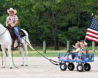 show-mule