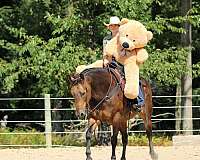 roping-quarter-horse