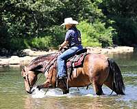 trail-riding-quarter-horse