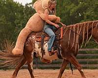 kid-safe-clydesdale-horse