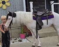 ridden-western-pony