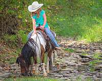 broke-for-anyone-pony
