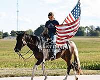 athletic-paint-pony
